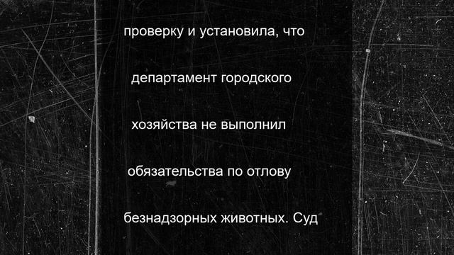 Семилетнему севастопольцу выплатят компенсацию за укус бездомной собаки