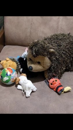 как  маленькие игрушки с Ежиком играли