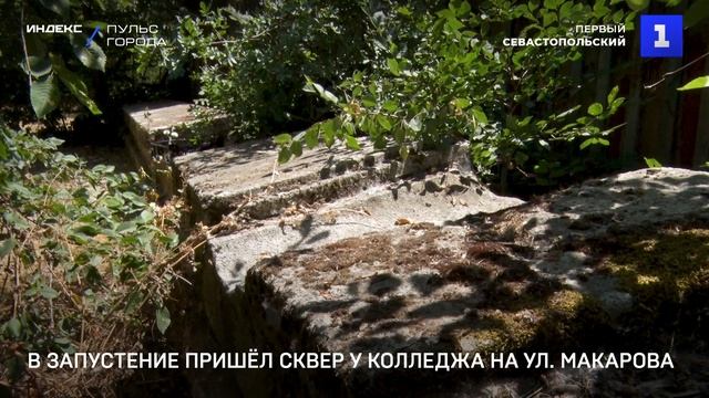 В запустение пришёл сквер у колледжа на ул. Макарова