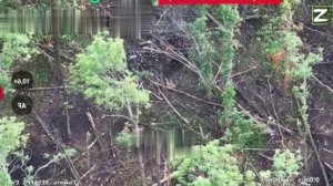 СВО  Бои в лесах Десантники  уничтожают пехоту ВСУ, наступая в Сумской области