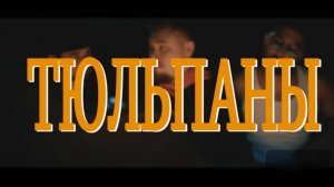 Джерси – Тюльпаны