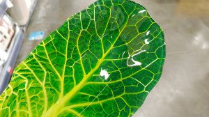 ✔️ЛЕНТА🌻ПРОГУЛКА  По МАГАЗИНУ🌻ВСЁ ДЛЯ ДОМА ✔️