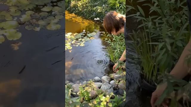Вот это поворот 🎣 🌎💫