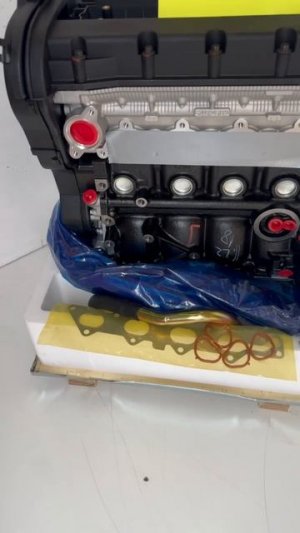 f16d3 ml (1)