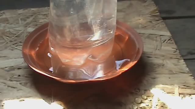 Поилка для цыплят своими руками быстро