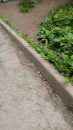 Сбили всю гармонию