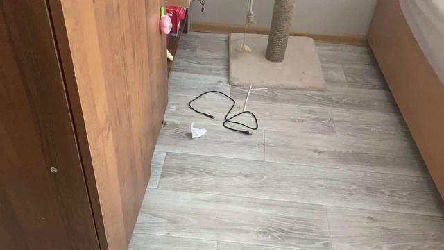 Развлекаем нашу кошку (часть12)