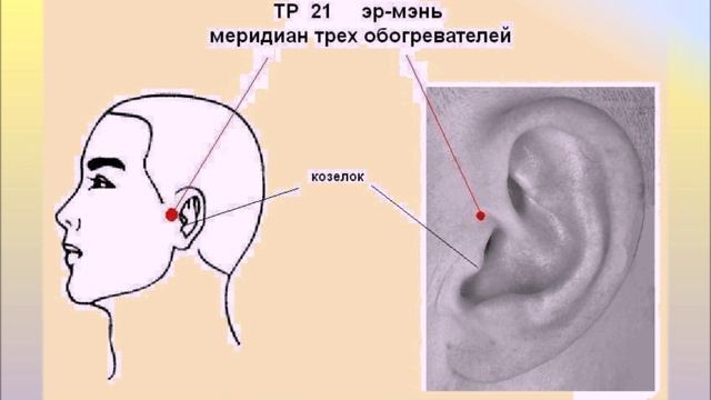 Шум в Ухе. Гирудотерапия поможет. Врач невролог, рефлексотерапевт Т.А. Шерефли смотреть онлайн
