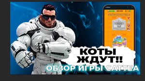 Коты ждут! Обзор игры Cottea