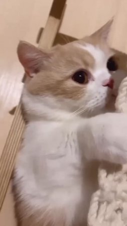 Я в домике!