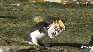 1000018250.mp4