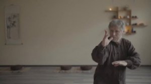 Фрагмент формы Тайцзи цюань Лиши в исполнении Александра Житомирского