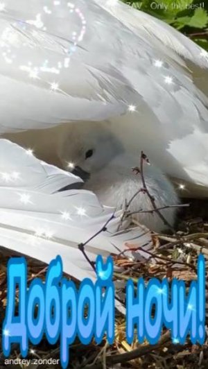Доброй ночи!) Нежных снов) #добройночи