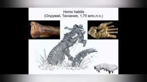 кто ел наших предков