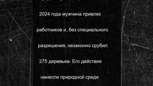 Житель Карелии незаконно вырубил 275 деревьев в национальном парке