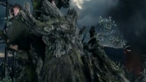 две крепости