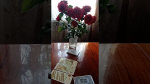 Таро.Какие впечатления вы о себе оставили.