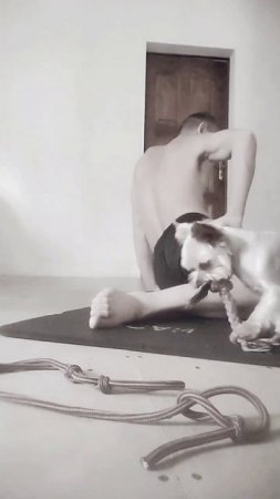 1000022685.mp4