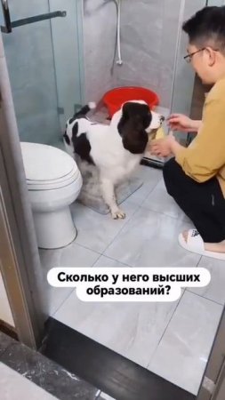 VID-20250627-WA0002.mp4