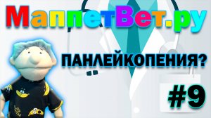 МаппетВет.ру|Панлейкопения?|#9