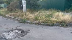 На перекрестке ул. Ионова и ул. Рослого в Донецке больше недели из люка течет вода при каждой подаче