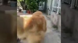 &.