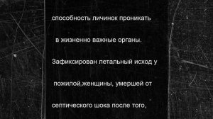 Паразит, считавшийся исчезнувшим, убивает людей в Гондурасе