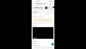 Стрим чг.
