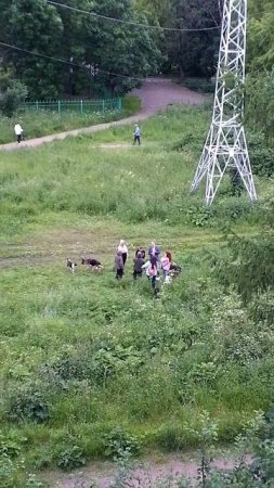 VID_20250627_220932