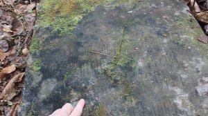 1. Приморье. старое кладбище