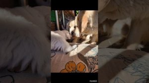 1000496956.mp4
