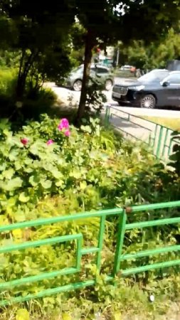 Прогулка в летний погожий день