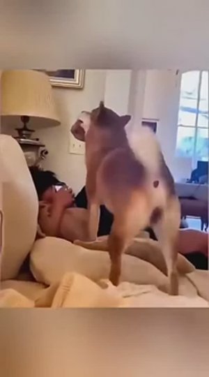 Приколюхи с нашими друзьями😆🤣😂