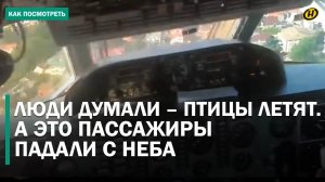 СТРАШНАЯ КАРТИНА – КУСКИ ВИСЕЛИ НА ДЕРЕВЬЯХ. Авиакатастрофа, в которой никто не выжил