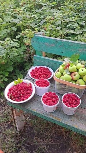 Наш улов на сегодня! Были на даче!