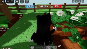 Вырасти сад