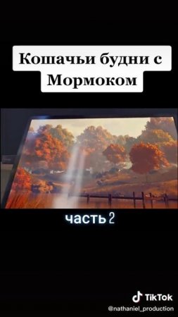 Мармок кот