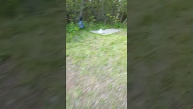 рыбалка