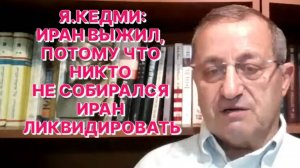 Я.КЕДМИ: После успешного завершения войны с Ираном Трамп может приказывать Нетаниягу всё, что угодно