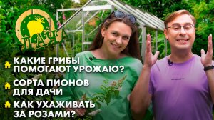 Почвенные грибы | Популярные сорта пионов | Уход за клубникой. Дача