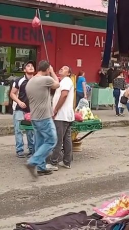 Смешные видео