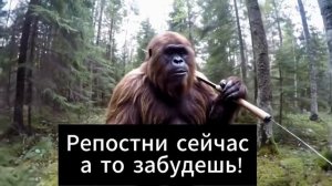 Все я рыбак