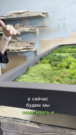 Подготовка картины из мха к отправке заказчику
