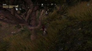 Assassin’s Creed Odyssey #9