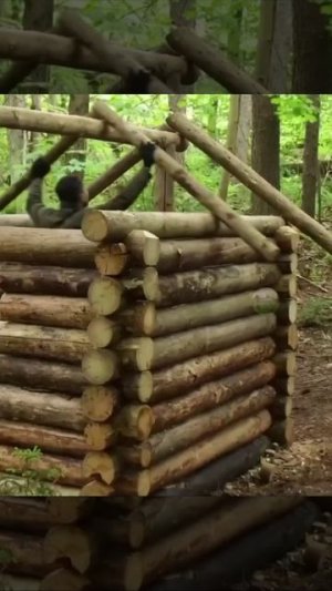 Строительство хижины