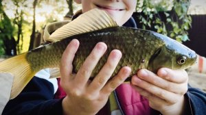 СОЧНЫЕ БАТОНЫ! НОВЫЙ ПРУД! #хобби#рыбалка#fish#fishing#природа#отдых#рыба#красота#карась#ратан
