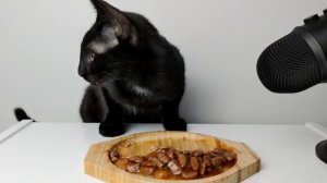 Котик кушает желточек от яйца ! Как аппетитно он это делает 🥰
