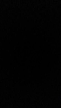 VID_20250628_102005.mp4