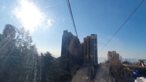 С 25 июня 2025 года канатная дорога в Дендрарии Сочи временно приостанавливает работу. Успела снять