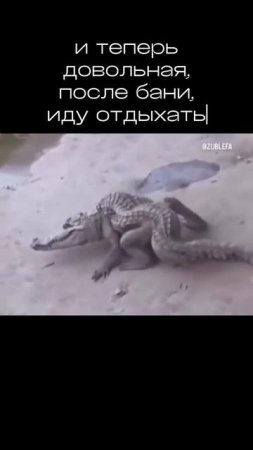 К отпуску готова